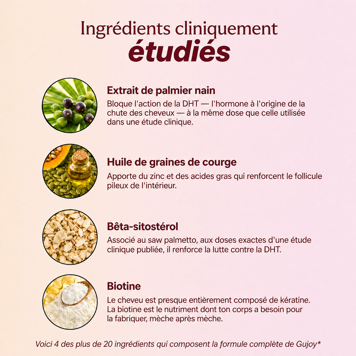 Gujoy Formule Capillaire Complète™