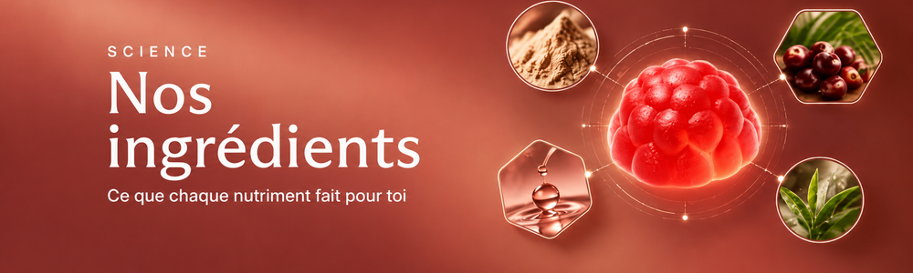 Nos ingrédients